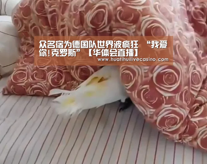 华体会直播