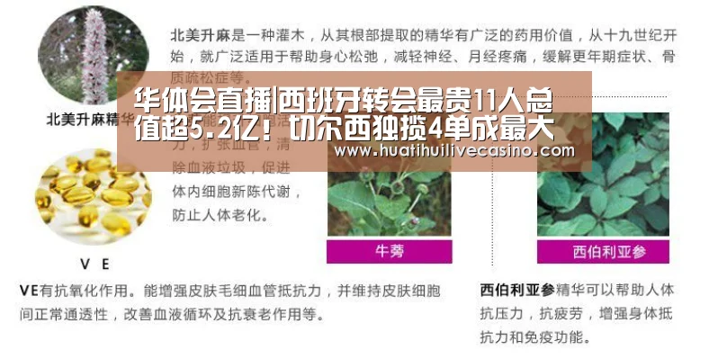 华体会登录