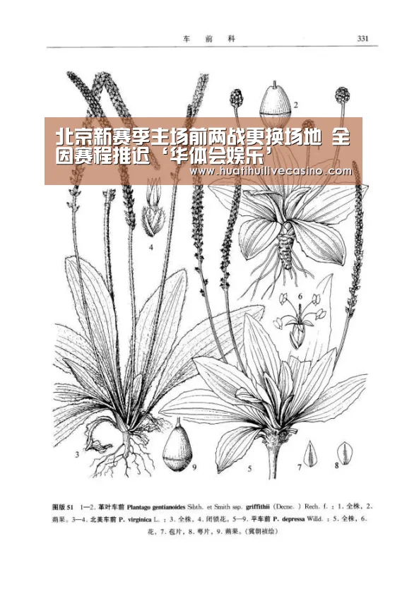 华体会登录