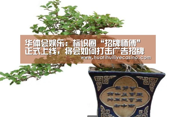 华体会登录