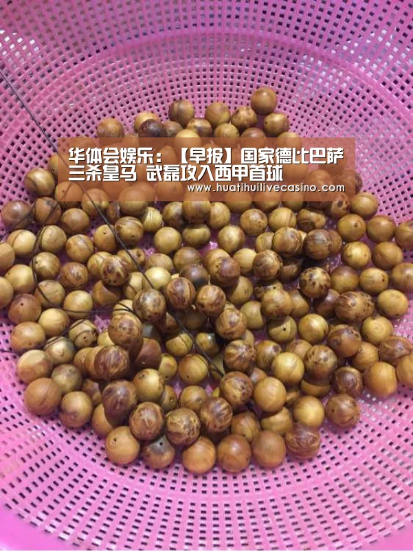 华体会直播